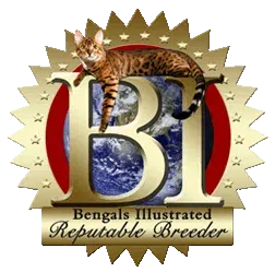 Bengals Illustrated