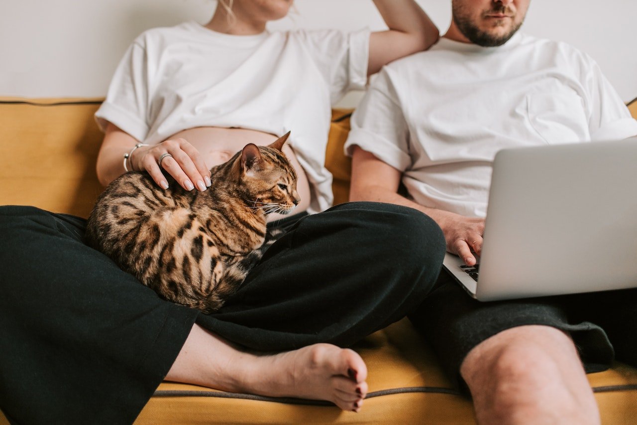 A couple enjoying the company of their award-winning Bengal cat on a couch.